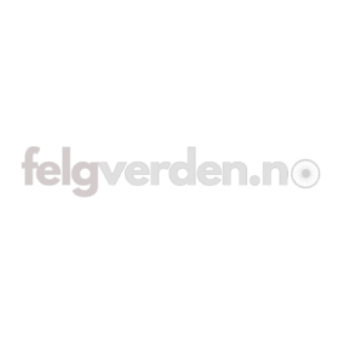 BRIDGESTONE 225/45R18 95Y T005 * XL - Sommerdekk
